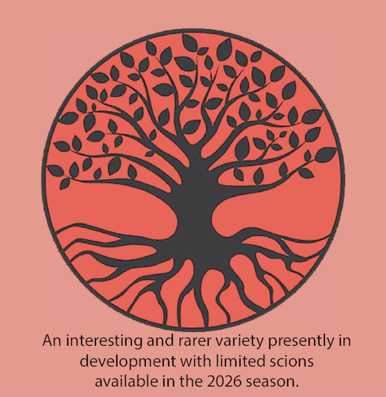 Redsleeves - a modern, self fertile, disease resistant apple (thin)