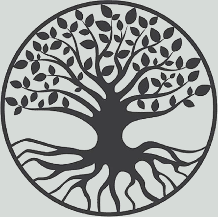 Edward V11 - a cold hardy, disease resistant cooker.