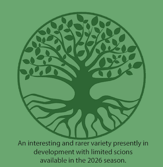 Omont Scions (Cider) - disease resistant from Normandy