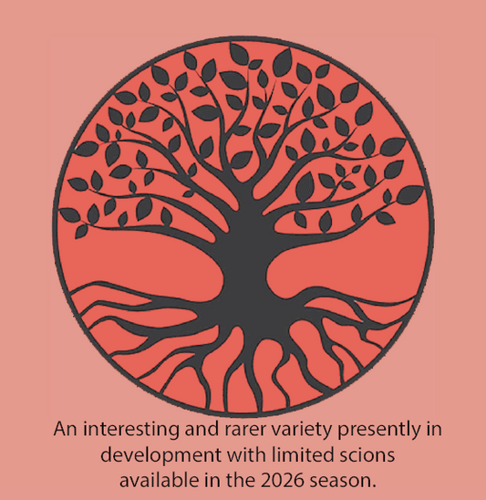 Redsleeves - a modern, self fertile, disease resistant apple (thin)